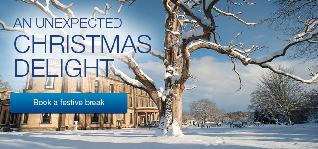 AN UNEXPECTED CHRISTMAS DELIGHT - Book a festive break